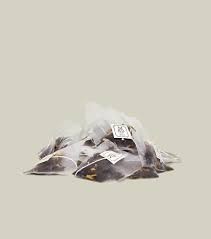 Blanche dael theezakjes